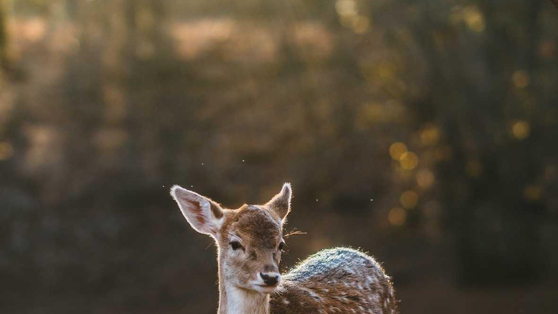青少年科技創新大賽