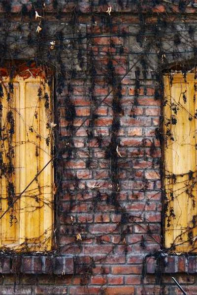 國際數學奧林匹克競賽