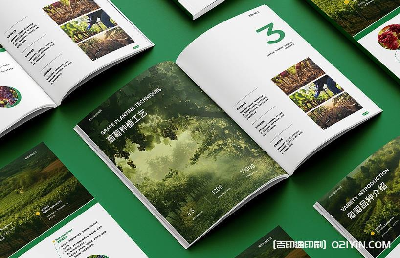 上海企業(yè)畫冊印刷專家：從設計到成品，一站式品質服務
